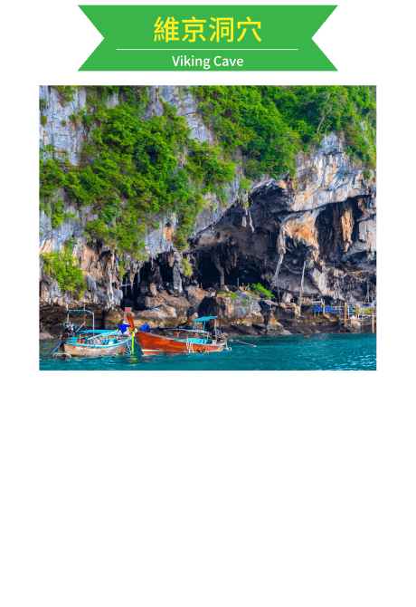 維京洞穴