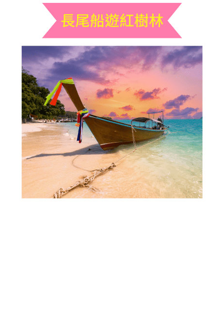 長尾船遊紅樹林