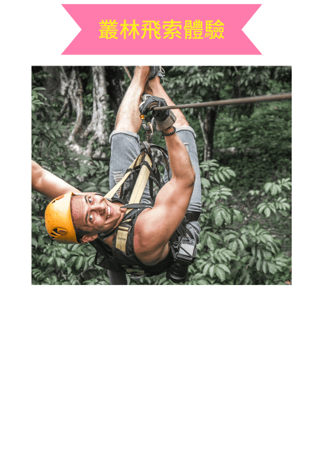 叢林飛索體驗