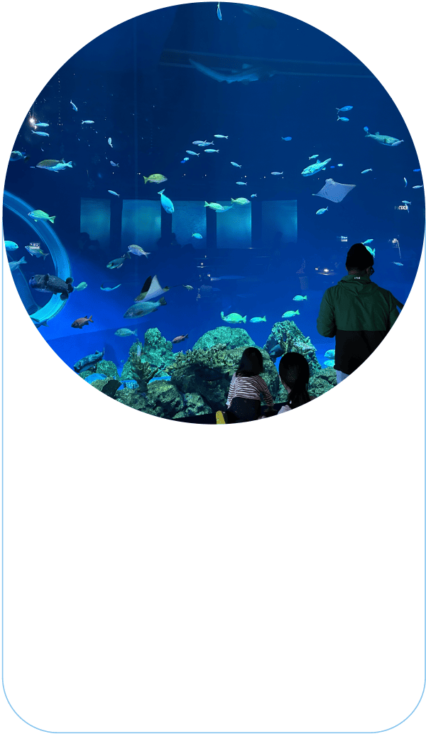DMM Kariyushi水族館