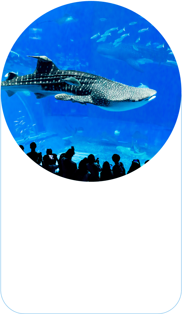 沖繩美麗海水族館